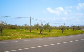 La Mandarina